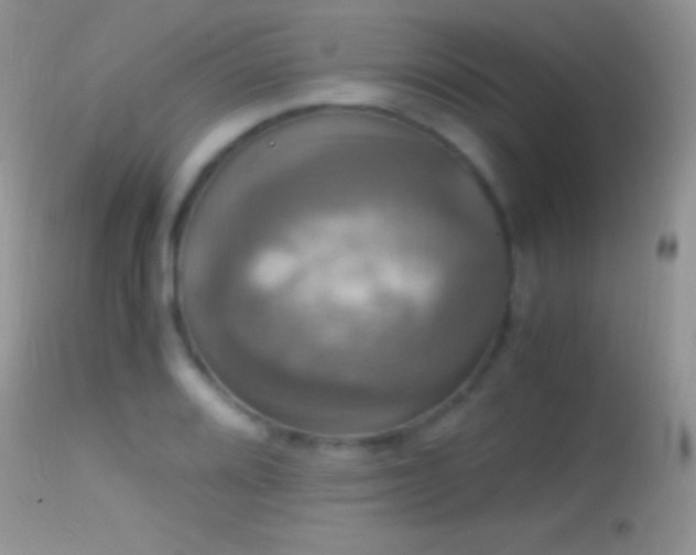 X0000114641080200910201438