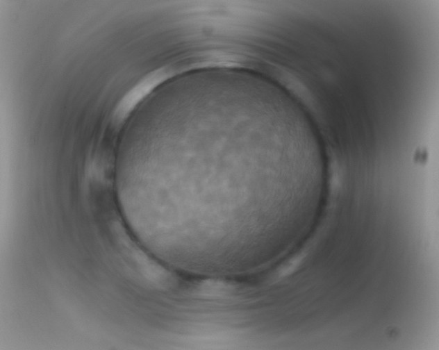 X0000114641081200910201437