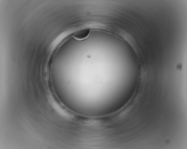 X0000114641082200910201437