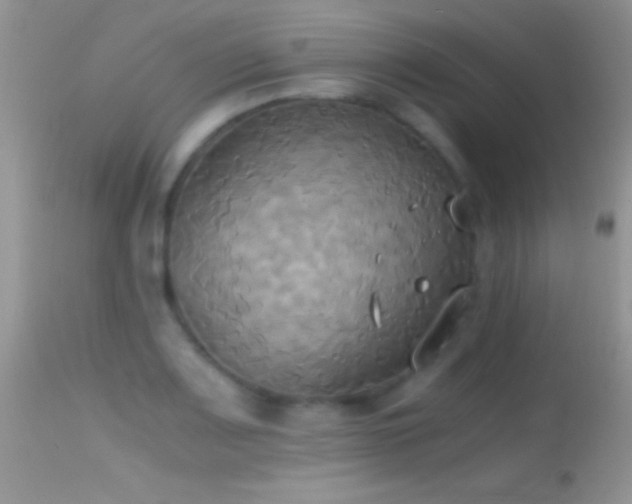 X0000114641083200910201437