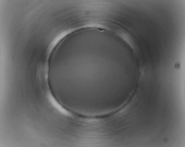X0000114641084200910201437
