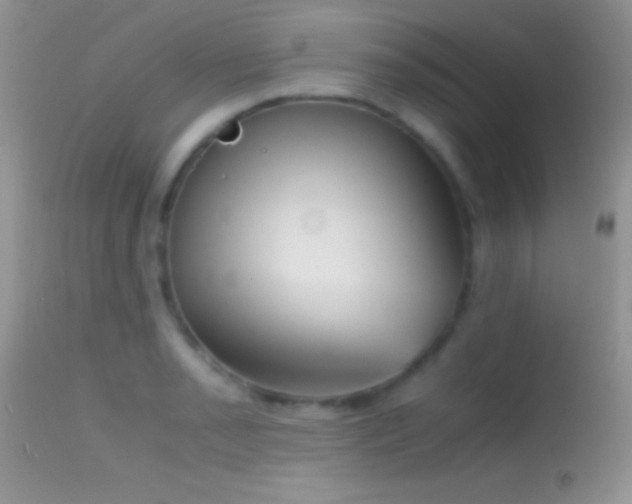 X0000114641085200910201437