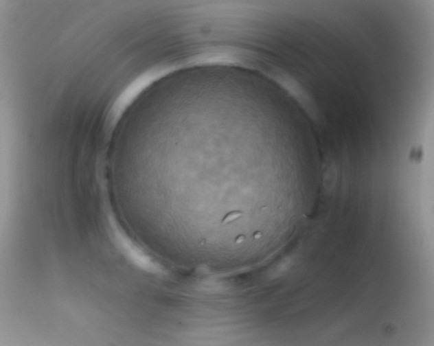 X0000114641086200910201437