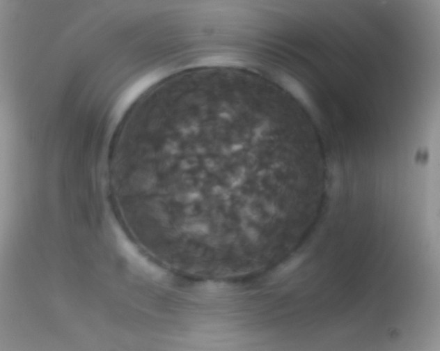 X0000114641087200910201437