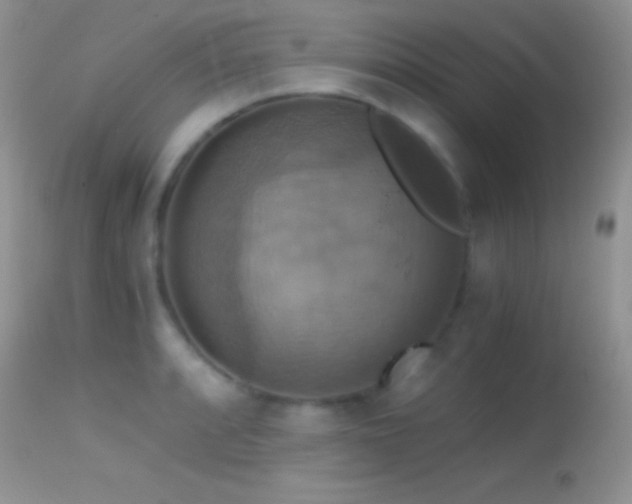 X0000114641088200910201437