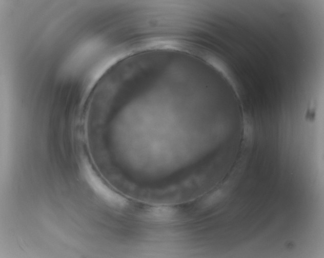 X0000114641090200910201437
