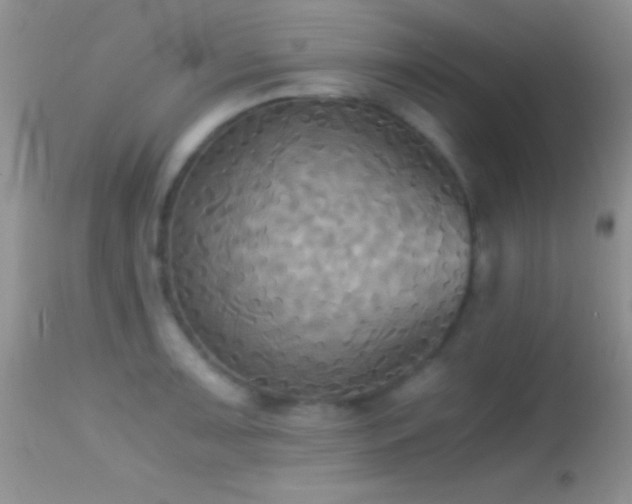 X0000114641091200910201437