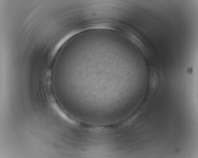 X0000114641092200910201437