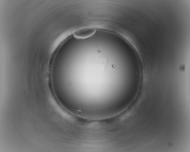 X0000114641093200910201437