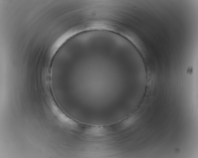 X0000114641094200910201437
