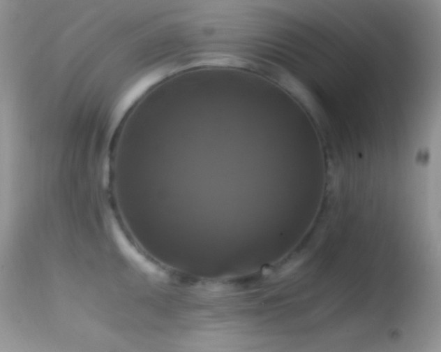 X0000114641095200910201437