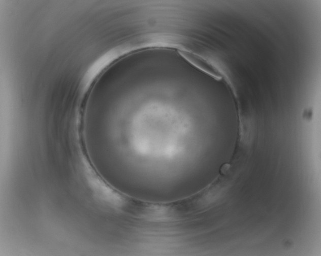X0000114641096200910201437