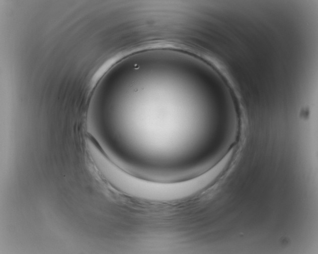X0000114641097200910201437