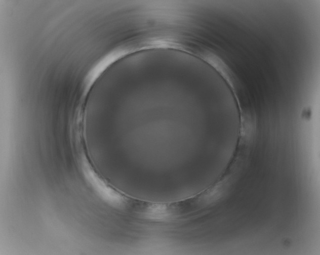 X0000114641098200910201437