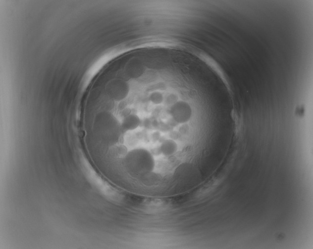 X0000114641099200910201437