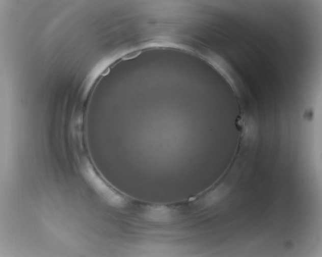 X0000114641100200910201437