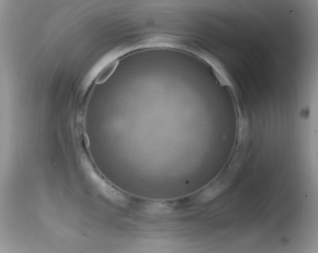 X0000114641101200910201437
