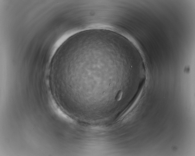 X0000114641102200910201437