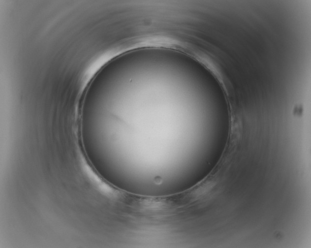 X0000114641103200910201437