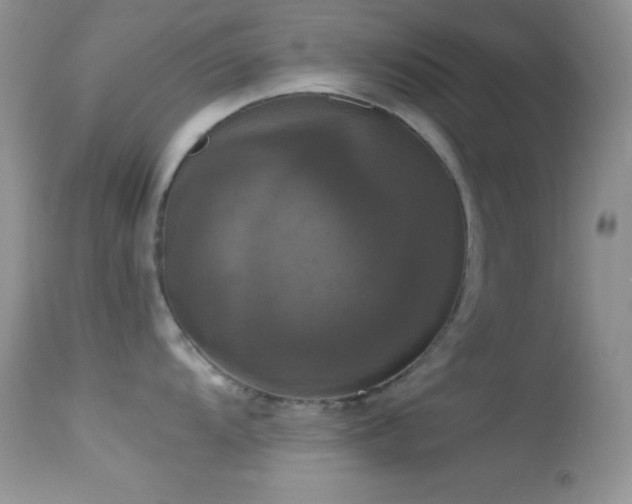 X0000114641104200910201437