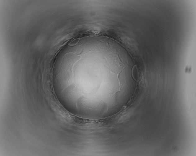 X0000114641105200910201436