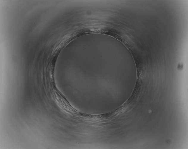 X0000114641106200910201436