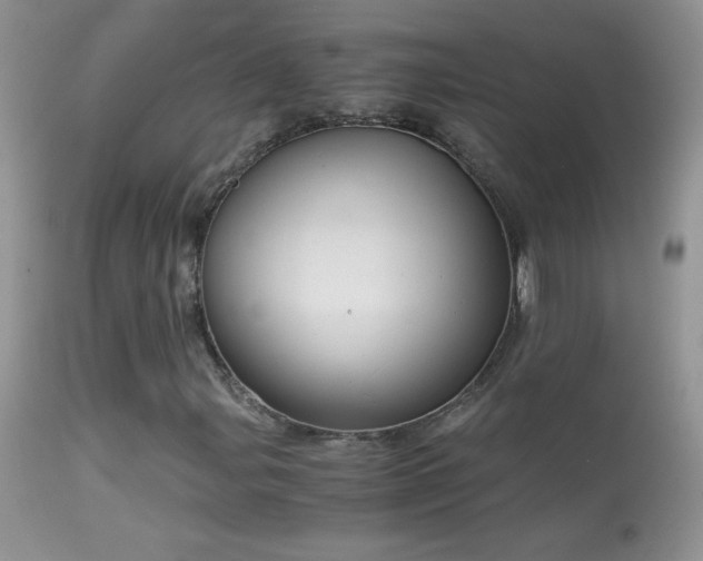 X0000114641107200910201436