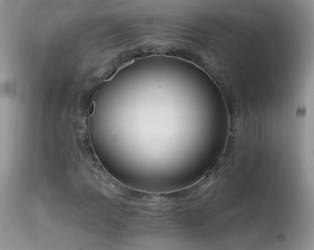 X0000114641109200910201436