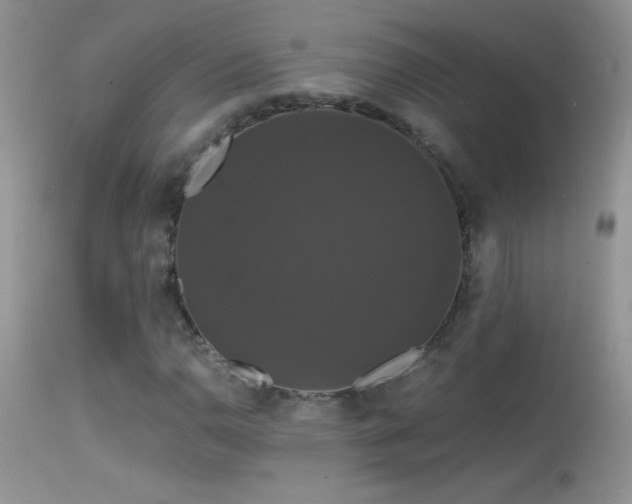 X0000114641110200910201436