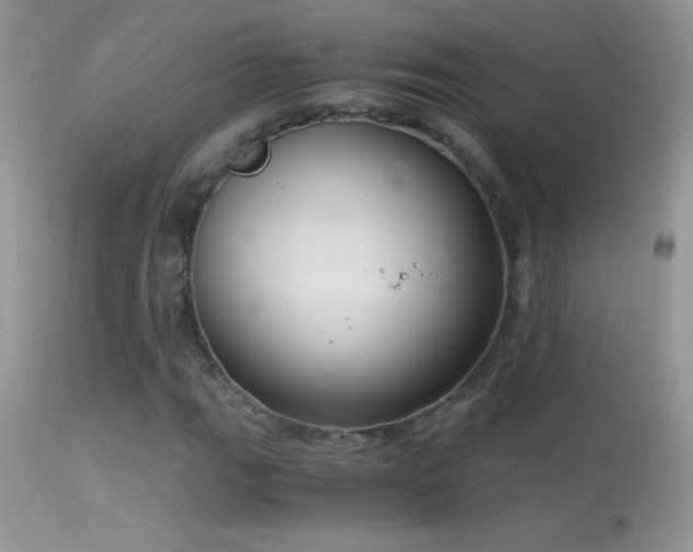 X0000114641111200910201436