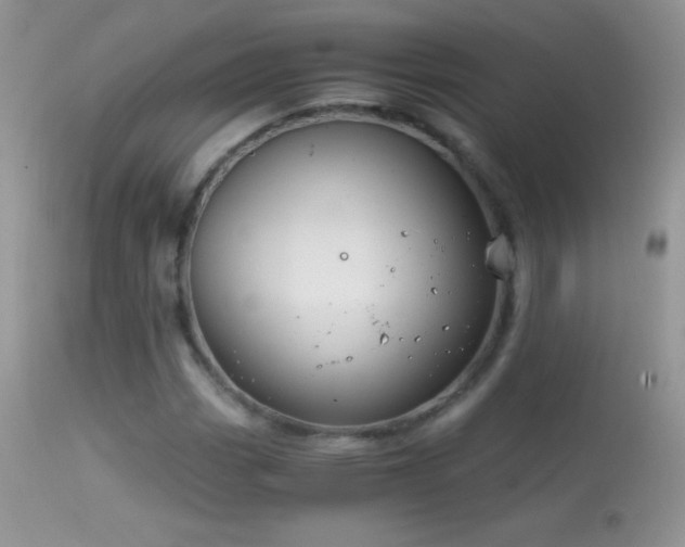 X0000114641113200910201437
