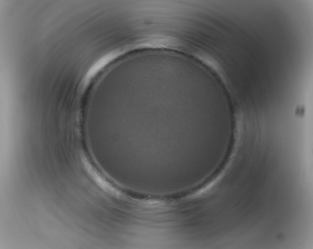 X0000114641114200910201437