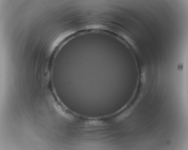 X0000114641117200910201437