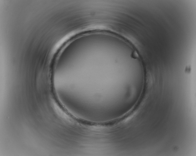 X0000114641118200910201437