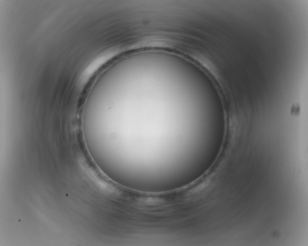 X0000114641119200910201437