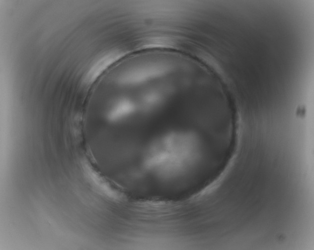 X0000114641121200910201437