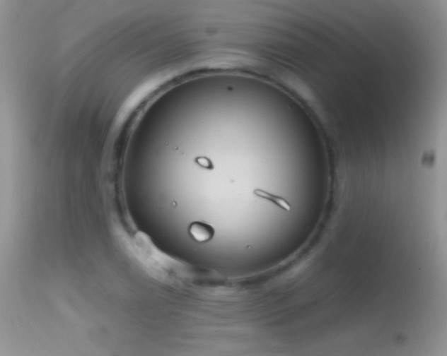 X0000114641122200910201437