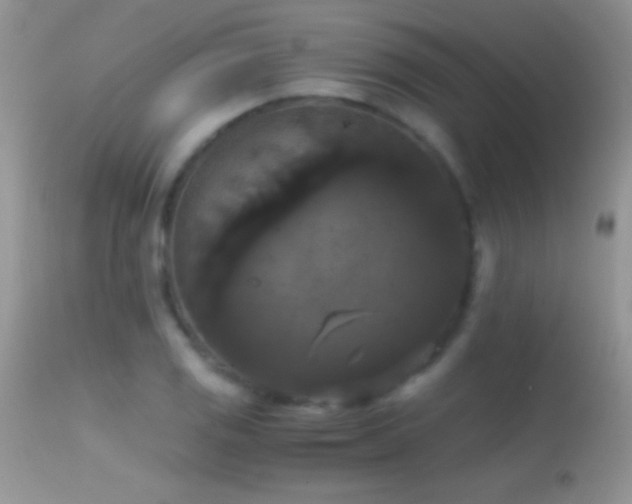 X0000114641125200910201437