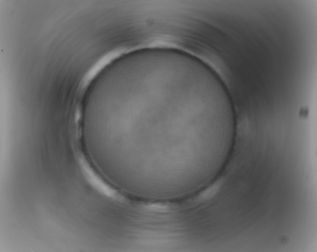 X0000114641126200910201437