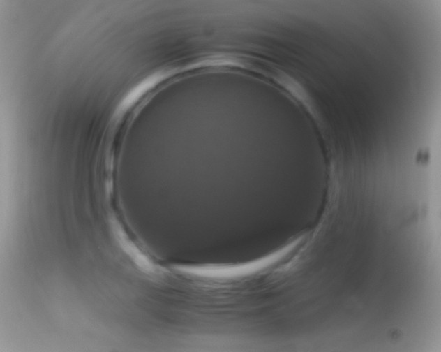 X0000114641127200910201437