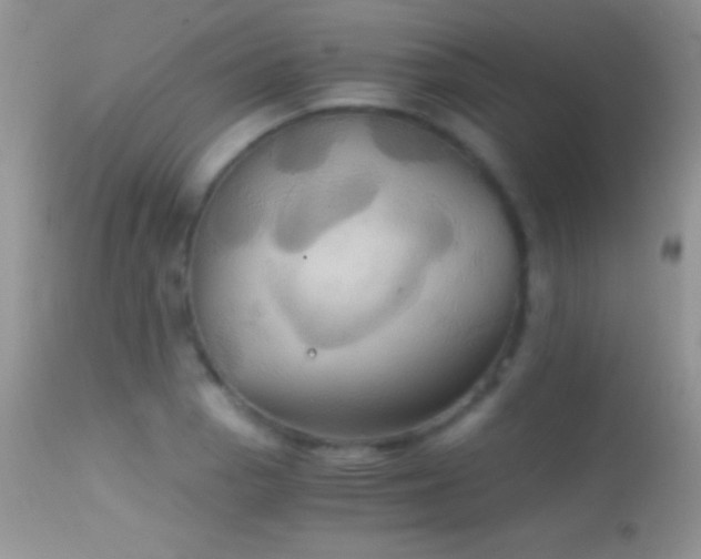 X0000114641129200910201437
