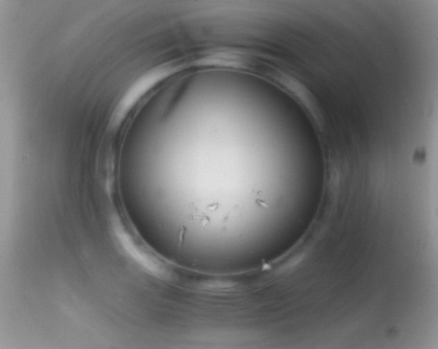 X0000114641131200910201437