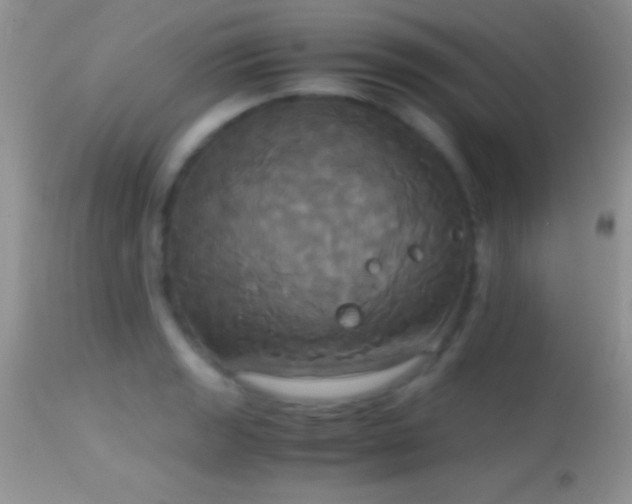 X0000114641133200910201437