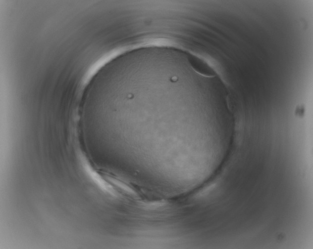 X0000114641134200910201437
