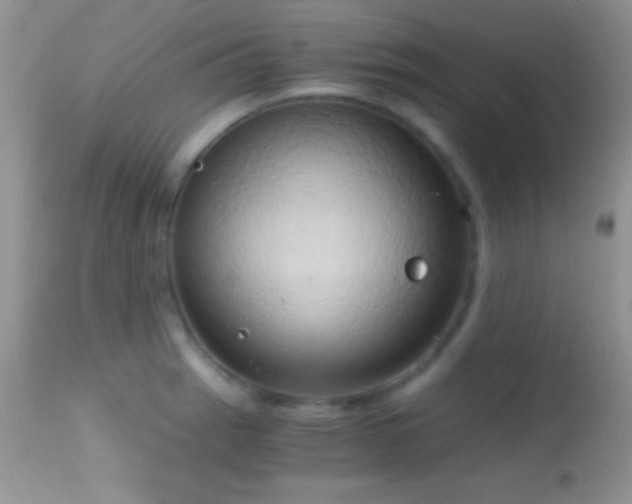 X0000114641137200910201437