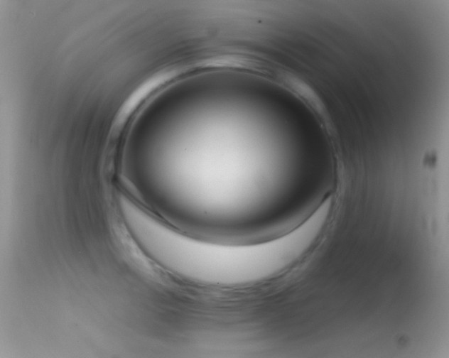 X0000114641138200910201437