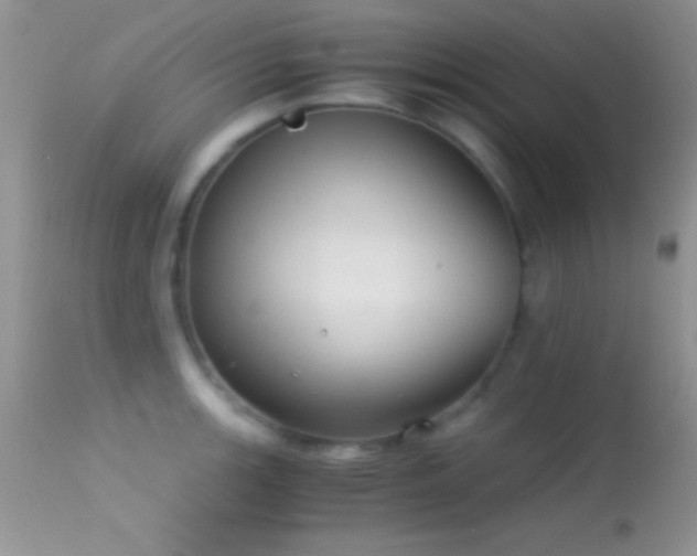X0000114641139200910201437