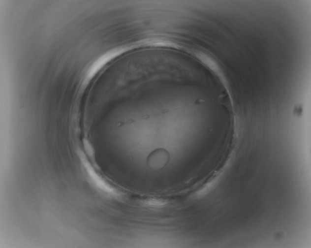 X0000114641141200910201437