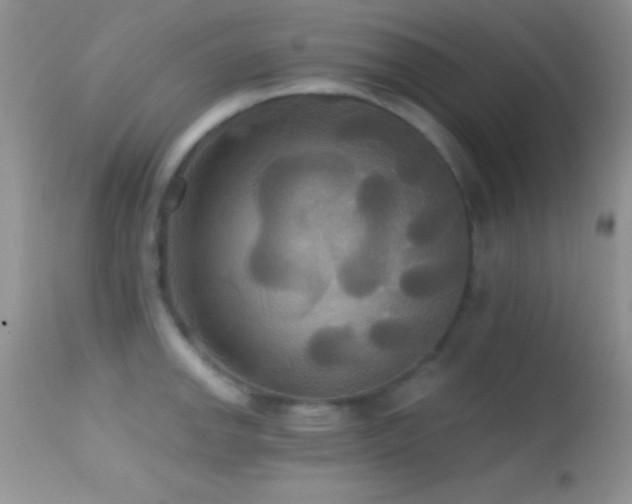 X0000114641142200910201437