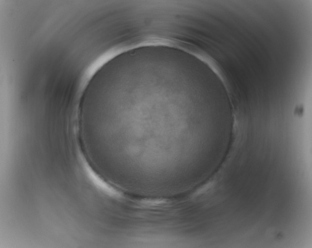 X0000114641143200910201437